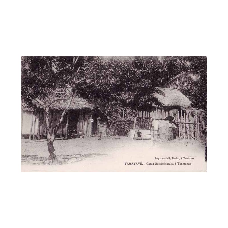 Betsimisaraka à Tanambo